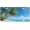 C 03, variant on License Plate, Ethnic Mandala Boho Flower Front License Plate Aluminum Metal Car Plates Decorative Vanity Tag Decor Novelty Car Tag for Truck SUV Rv Cars Auto Accessory for Women Men 6 X 12 Inch