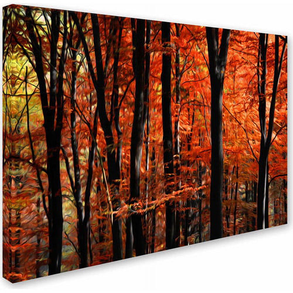 Trademark Fine Art "Indisputable Truth" Canvas Art by Philippe Sainte-Laudy
