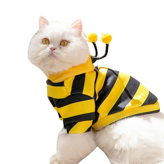 Sudadera con capucha para gato, elegante y adorable disfraz de otoño e invierno para gatos, gatitos, cachorros, clásico disfraz de abeja M (peso recomendado: 2,5-4 kg/5,5-8,8 kg)