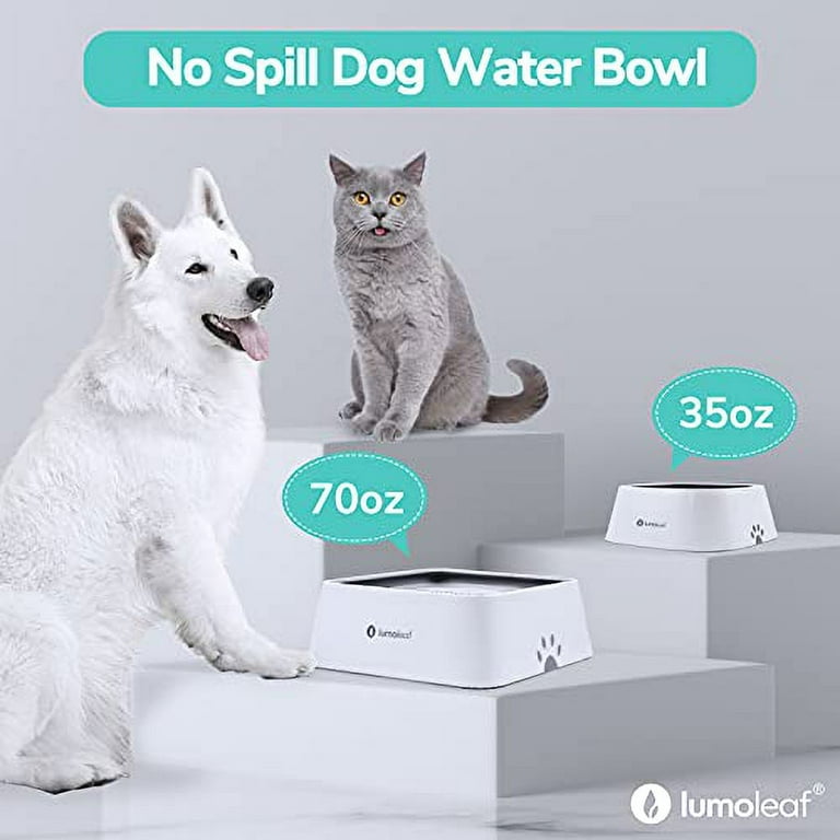 Elevated Dog Bowl, Adjustable Raised Dog Bowl with Slow Feeder Dog Bowl and  Dog Water Bowl Non-Spill for Small Medium Large Dogs - AliExpress