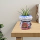 thumbnail image 4 of Maceta de cemento con forma de hongo, hecha a mano, para oficina, escritorio, jardín, patio, pequeña maceta para suculentas, musgo, miniplantas, decoración caprichosa., 4 of 5