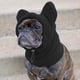 thumbnail image 5 of Gorro cálido para perros, orejeras suaves y gruesas ajustables para orejas de perro, orejeras para perros medianos a grandes, mascotas, cachorros, , M M, 5 of 7