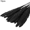 thumbnail image 2 of 15Pcs/Bundle Small Pampas Grass Ornamental Desktop Decor Dried Flower Birthday Party Artificial Reed Bouquet for Garden, 2 of 8