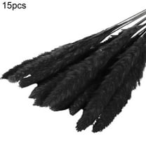 HEVIRGO 15Pcs/Bundle Small Pampas Grass Ornamental Desktop Decor Dried Flower Birthday Party Artificial Reed Bouquet for Garden(Black )