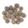 thumbnail image 2 of 5 paquetes de semillas de okra sin espinas Abelmoschus Moschatus Semillas de hortalizas para plantar, 2 of 7
