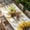 Off-White, variant on Yellow Sunflowers Table Cloths for 6 Foot Rectangle Tables, You Are My Sunshine Wood Rustic Patio Waterproof Elastic Fitted Tablecloths, Washable Rectangular Table Cover for Camping