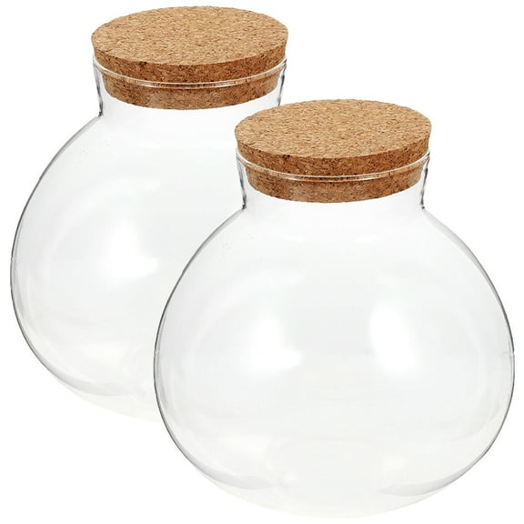 BESTONZON 2pcs Sealed Clear Terrarium Glass Bottle Microlandscape Glass Jar Spherical Ecological Bottle