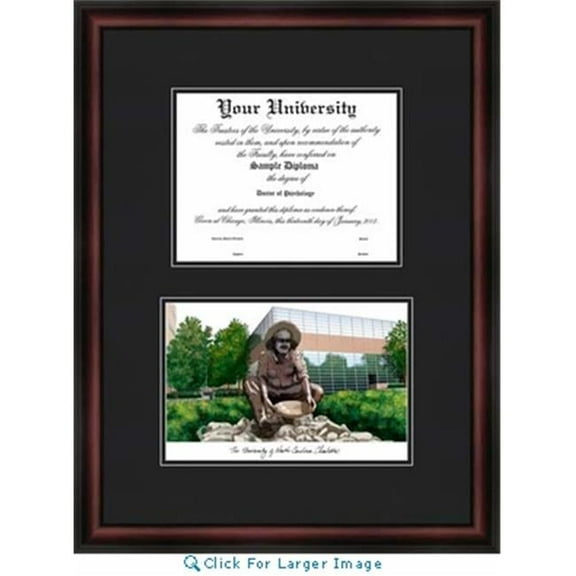 University of North Carolina  Charlotte Diplomate