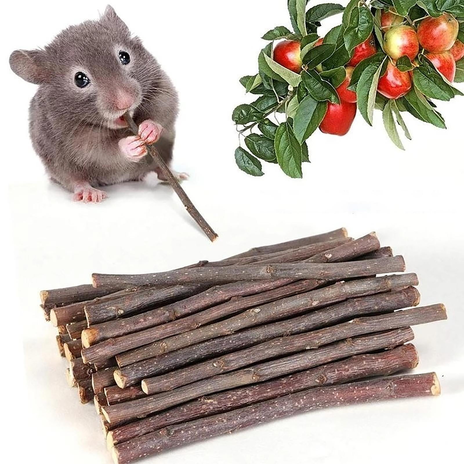 EHJRE Natural Hamster Chew Sticks, Molar Twigs, Accessories, Bunny Branches Rat Toys, Wood for Rodent Animals Groundhog Squirrels Treats