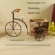 thumbnail image 3 of Bicicleta flotante de moda sencilla, manualidades para el hogar, decoración del hogar, bicicleta de madera, decoración del hogar, bicicleta, bicicleta simple, 3 of 4