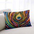 thumbnail image 2 of Peacock Feathers Eye Throw Pillow Cover 20 x 30 Inch Decorative Pillow Cover Abstract Colorful Oil Painting Lumbar Pillowcase Seasonal Rectangle Cushion Case for Couch Sofa Bed Living Room, 2 of 7