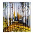 thumbnail image 1 of ABPHQTO patrón de pintura del otoño dorado Cortina de ducha Cortina de ducha impermeable 160x180 cm, 1 of 2