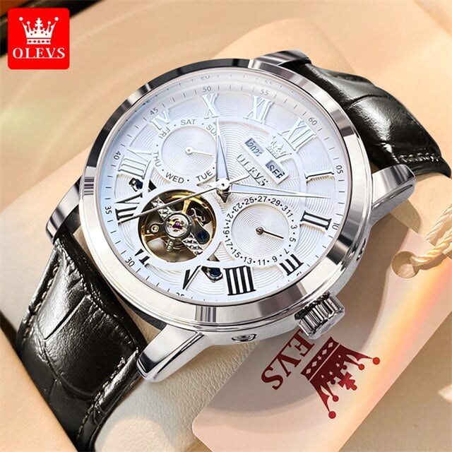 OLEVS Luxury Original Watch for Men Automatic Mechancial Wrist Watch Leather Strap Skeleton Waterproof Multifuncation Man Watch