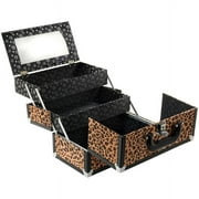Caboodles Inspired 2 Tray Train Case