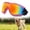 D, variant on Dog Goggles Small to Medium Breed, Anti-UV Sunglasses for Dogs Medium Breeds, Windproof Driving Dog Eye Protection, Puppy Glasses with Elastic Straps, Adjustable, Black Frame with Red Trim