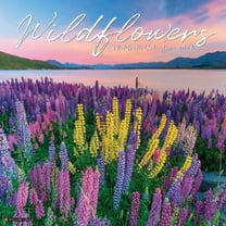 Wildflowers 12" x 12" 2026 Wall Calendar [9781549253294]