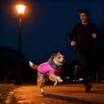 thumbnail image 4 of Hearth & Gear Insulated Reflective Coat With Adjustable High Collar For Winter Warmth And In Cold Weather Outdoor Adventures Pet Clothes Rack Hanger Pet Clothes Rack Pet Clothes for Medium Dogs Boys, 4 of 6