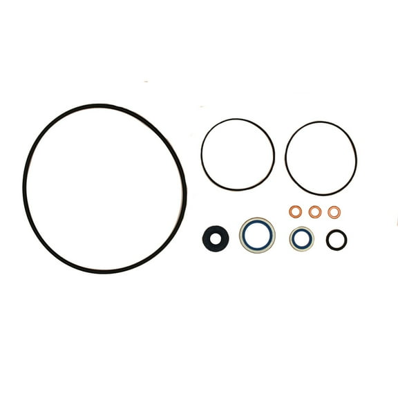 RAParts S.41610 Seal Kit, 1810529M91 Fits Massey Ferguson