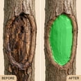 thumbnail image 6 of 100g Tree Wound Sealer with Brush Applicator, Pruning Sealant & Grafting Wax – Rapid Protective Layer for Tree Trunk & Bark Repair, Fruit Tree, Bonsai & Rose Care, Green, 6 of 8