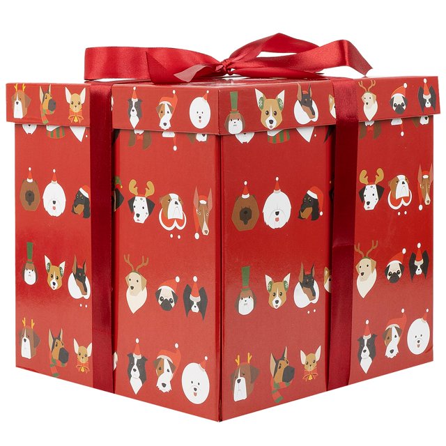 Caja de regalo Jaywayang, 25 cm, grande, roja, con cinta