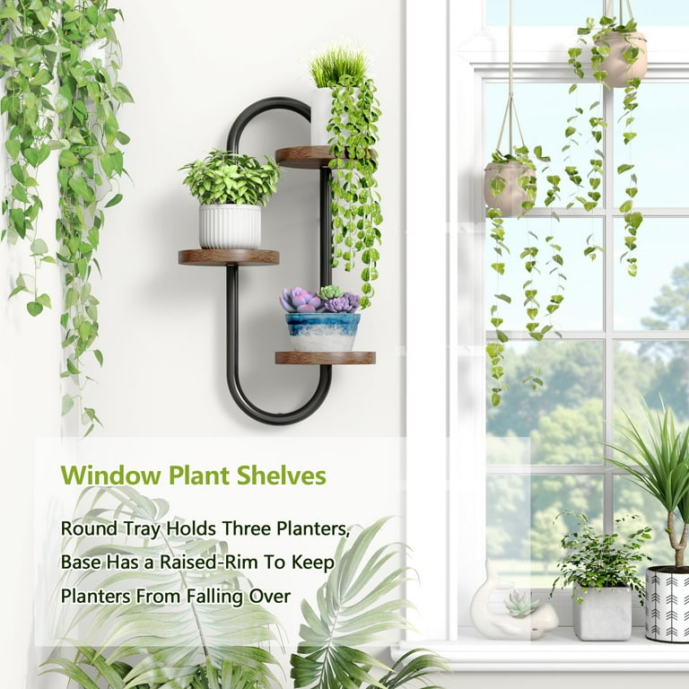 enjoy plant power PLANT POWER
