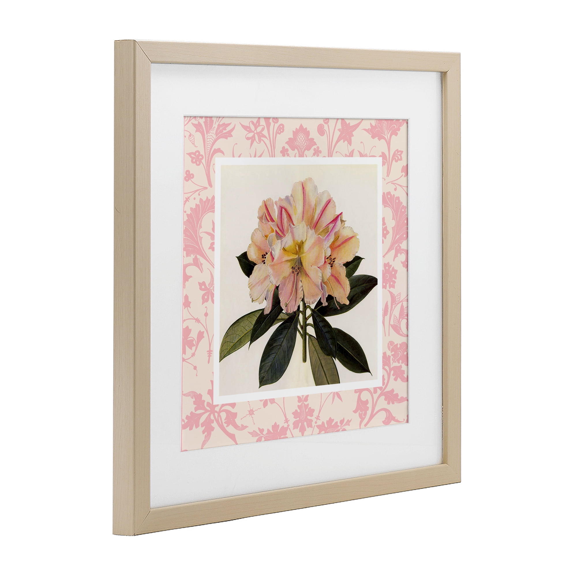 Stupell Industries Pink Vintage Pattern Botanical Birch Framed Print Under Glass, design by Livi Finn