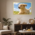 thumbnail image 7 of 16x24 Frame for Wall Mounted, Gold, 7 of 7