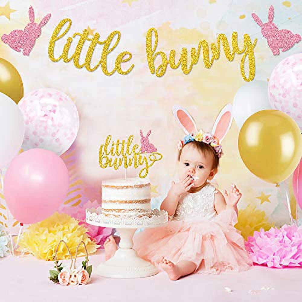 Buy Peter Rabbit Party Supplies Plates Banner Decorations First Backdrop  Cake Topper Balloons Birthday Baby Shower Online at desertcartKUWAIT