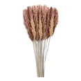 thumbnail image 2 of Dvkptbk Reed Bouquet Natural Dryness - Wedding Bouquet Is A Favorite Wedding Color Within The Natural Home Decor, 2 of 8
