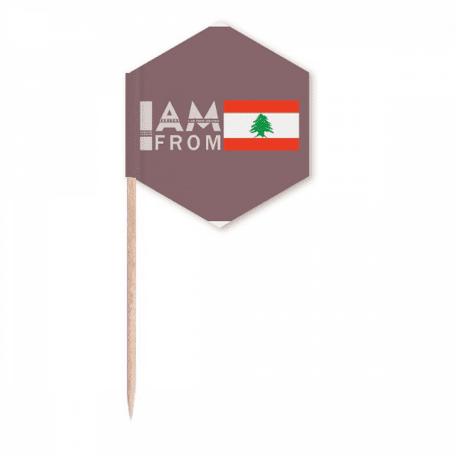 I Am From Lebanon Art Deco Fashion Toothpick Flags Cupcake Picks Party Celebration