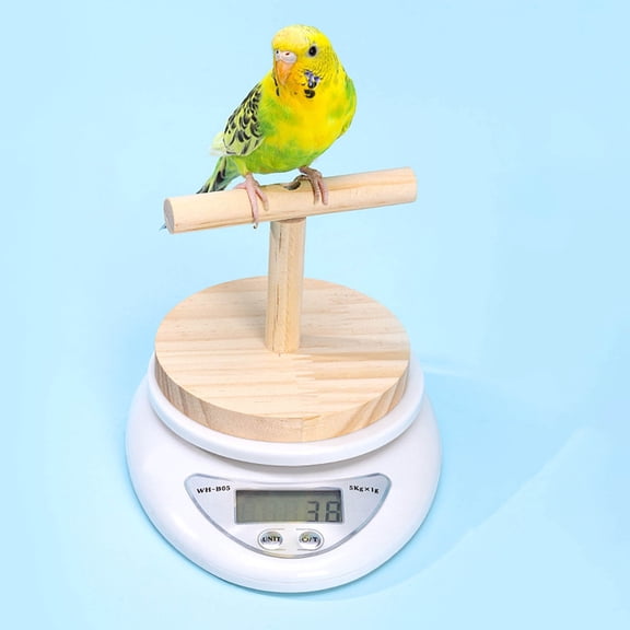 EcoNest Bird Weight Scale Parrot Training Animal Scale With | High Accuracy Convenient Digital Weighing Tool For Weight Changing