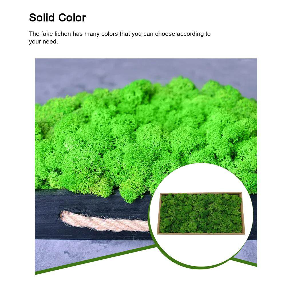 Mousse Artificielle Pour Décoration Pots De Fleurs - Vert Clair Ou Foncé, 30 G Ou 50 G, Plastique Résistant à L'eau - 11