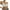 Grey-2, variant on Women Compression Bra Thin Sports Bra Sports Bra Packs for Women S Bras Small Bra Bras for Women Pack Seamless Bras