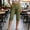 Army Green, variant on Women's High Waisted Chino Cropped Pants Button Closure Calf-Length Trousers with Hem Detail Stretch Casual Trousers with Pockets for Everyday Office Wear(Wine,M)