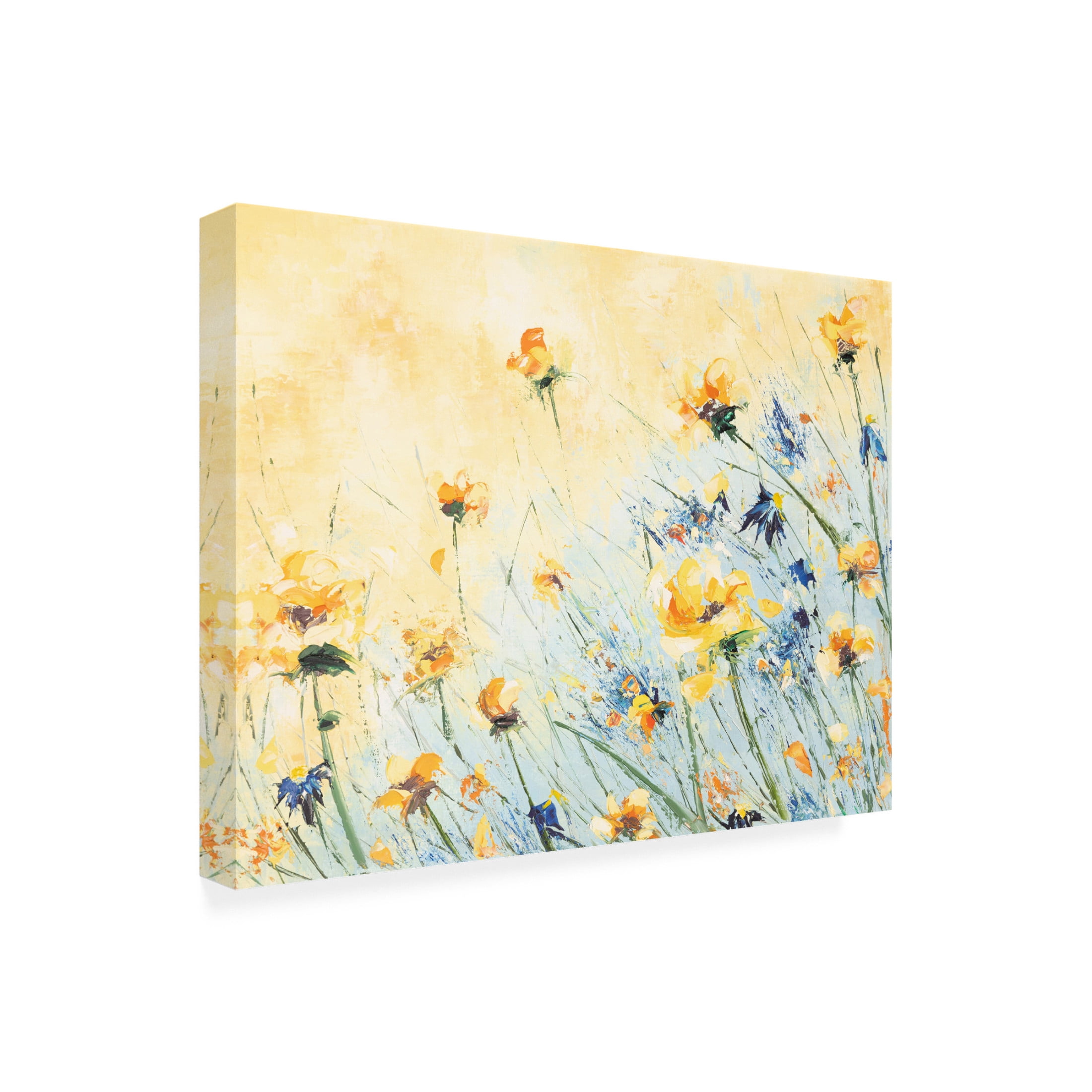 Canvas Wall Art - Emma Coghlan 'Build Me Up Buttercup' Wall Art for Living Room, Bedroom, or Office Décor by Trademark Fine Art - 19 x 14 Inches