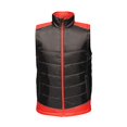 thumbnail image 1 of Regatta - Chaleco Forro Polar Contraste para Hombre (Negro, Rojo Clásico) Regatta UTRW6519_blackclassicred, 1 of 1