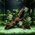 thumbnail image 6 of SPOORYYO 100Pcs Glowing Aquarium Pebbles for Luminous Aquascaping and Decor, 5-9mm, 6 of 6