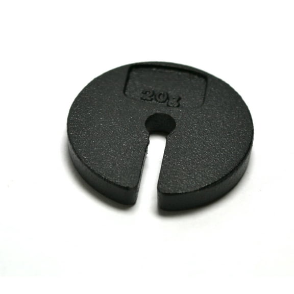 Slotted Weight, 20g - Zinc Casted - Spare or Extra Parts for Slotted Masses Sets - Eisco Labs