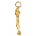 thumbnail image 2 of FJC Finejewelers 10k Yellow Gold Golf Charm, 2 of 6