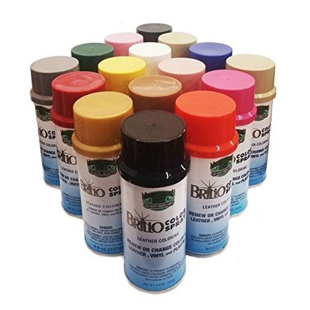 Moneysworth & Best Brillo Color Spray (Cordovan #036)