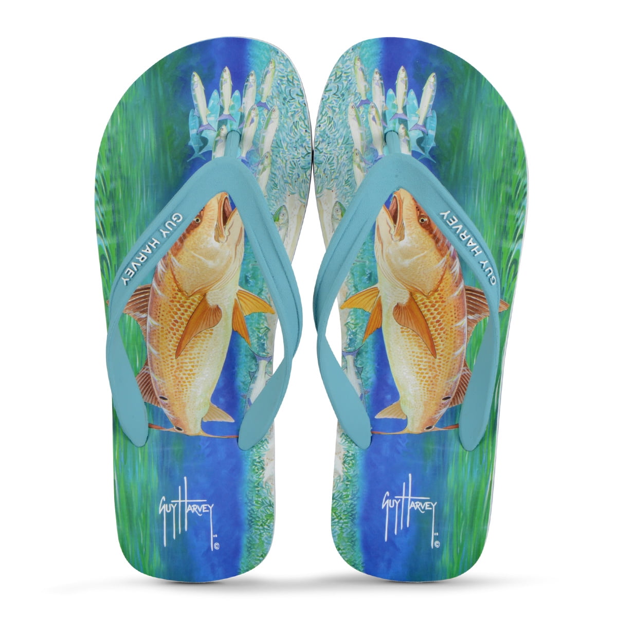 Guy Harvey Blue Marlin Sandal-Pick Size-Free Ship Fishing Flip Flops