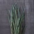 thumbnail image 3 of 8 Pack: Green Magnolia Flax Grass Bundle by Ashland®, 3 of 5