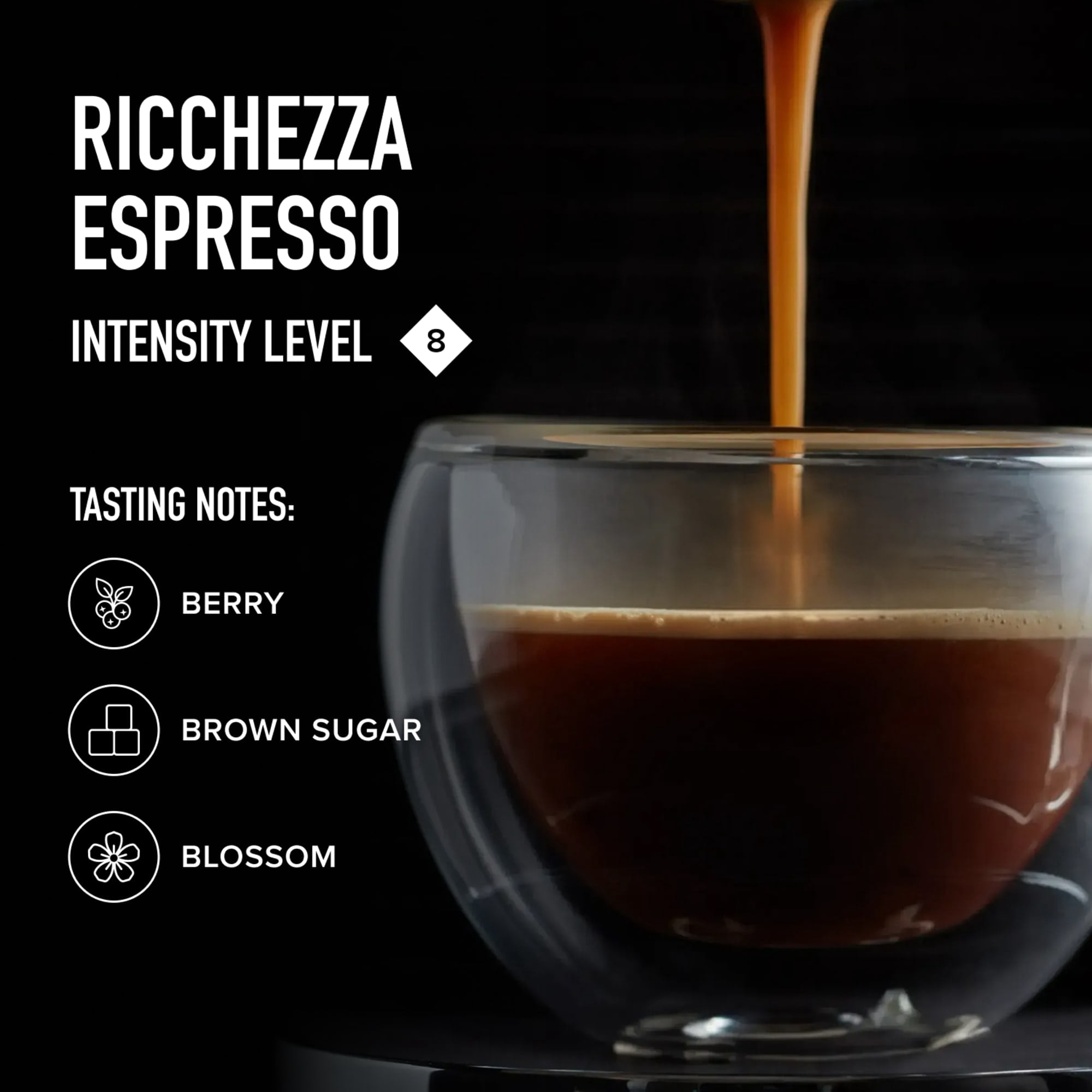 (10 pack) Peet's Coffee Ricchezza Premium Medium Roast Intensity 8 Espresso Coffee Pods, 10 Count