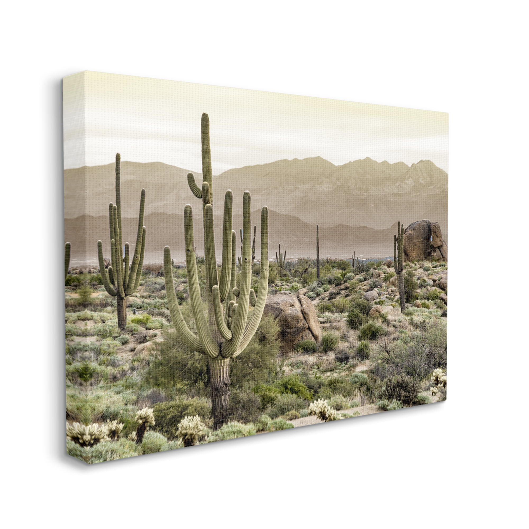 Stupell Industries Rocky Desert Landscape Landscape Photography Gallery Wrapped Canvas Art Print Wall Art, 20 x 16
