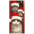 thumbnail image 1 of Dreamy LED Door Curtain for Festive Home Magical Atmosphere Creation Holiday Party Lighting Decoration, 1 of 4