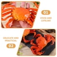 thumbnail image 4 of Plastic Crab Model Simulation Sea Animal Marine Animal Model Artificial Realistic Crab Decoration, 4 of 4