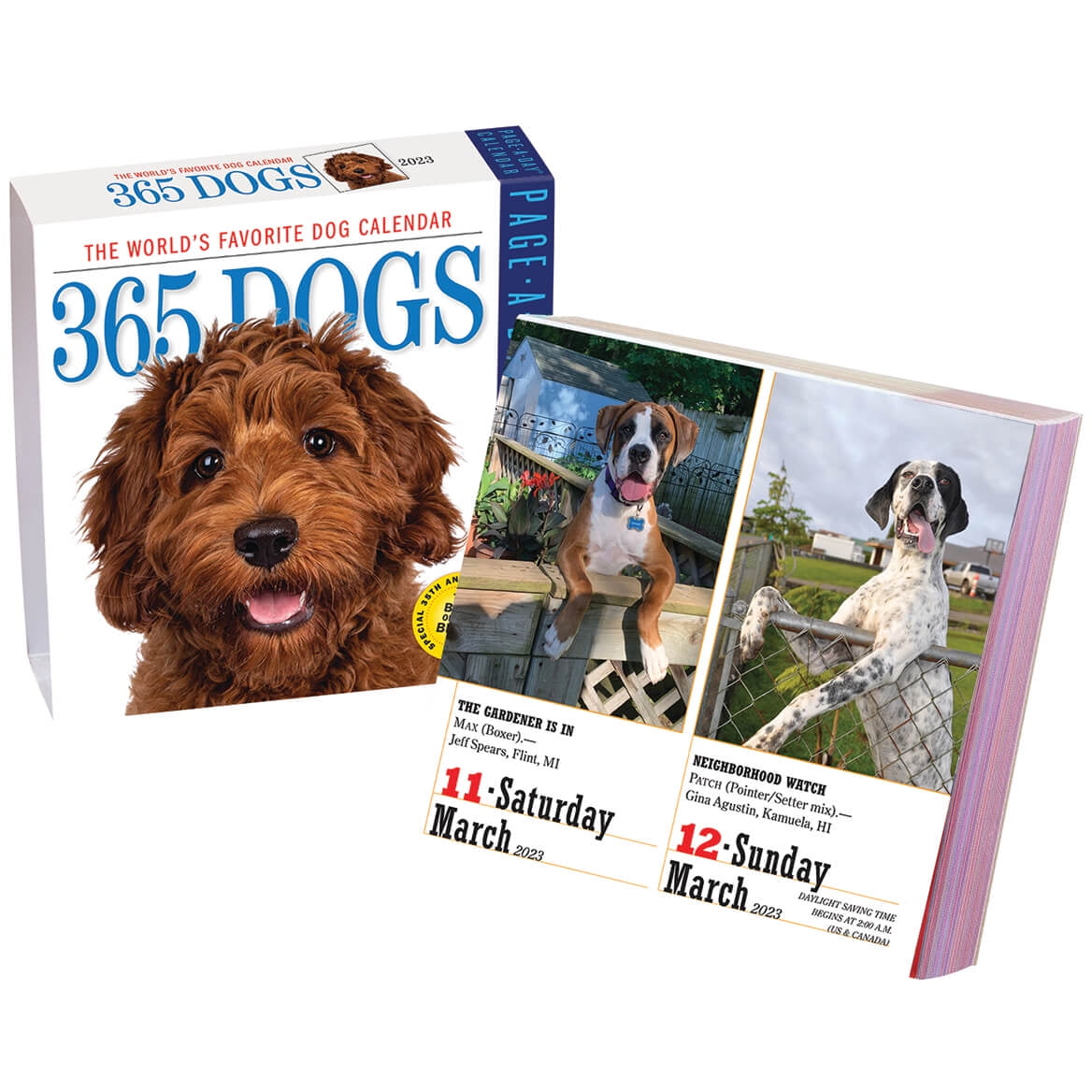 Dog A Day Calendar Page