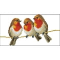 thumbnail image 1 of Kits Bricolaje Ygjytge Lienzo Artístico Con Pájaro Bordado 14CT, 1 of 9