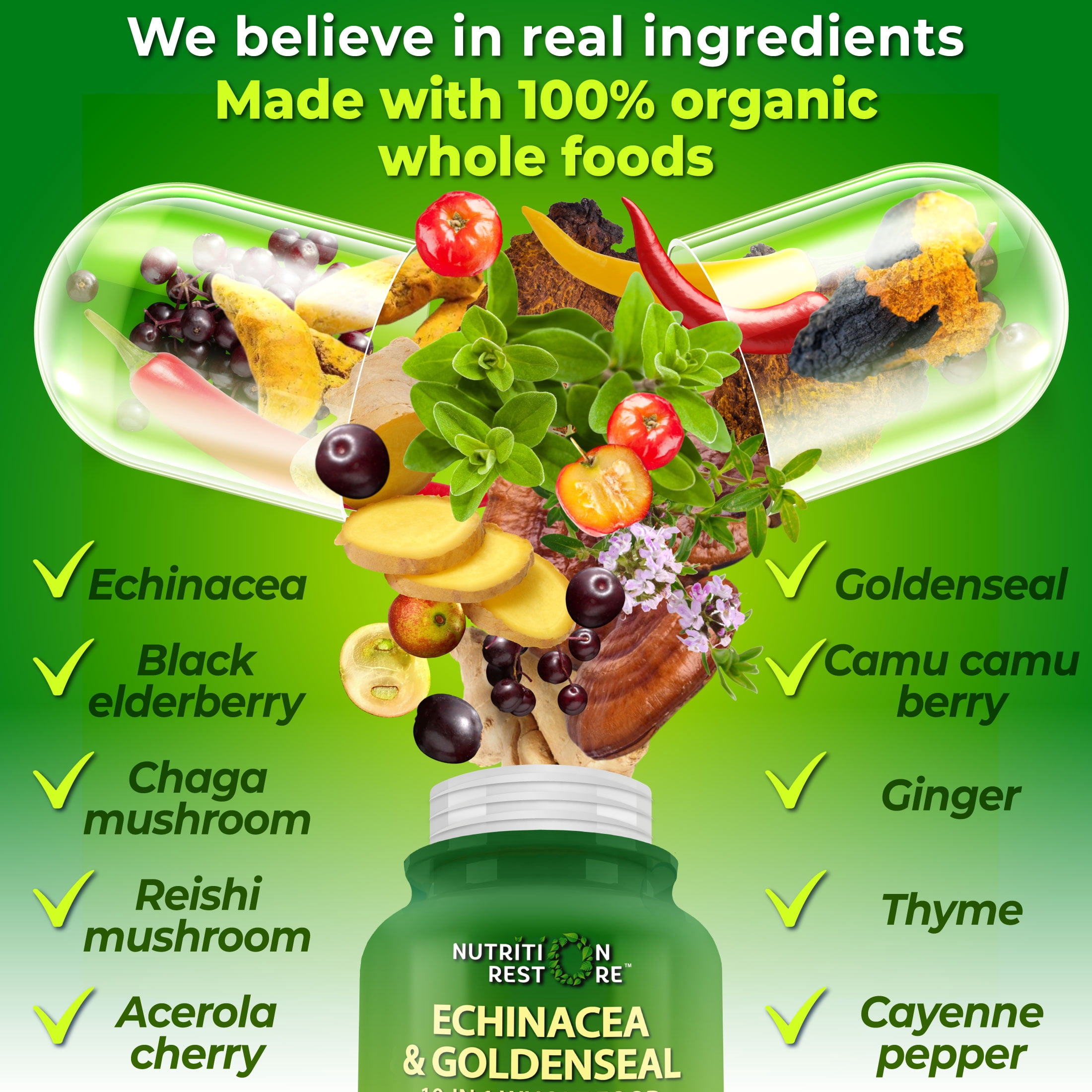 Nutrition Restore Echinacea Goldenseal Capsules 10 in 1 Vegan Herbal Immune Support Supplement, 120 Count