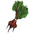 thumbnail image 2 of Fresh Whole Red Beets Bunch, Fresh Produce, 2 of 6